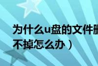 为什么u盘的文件删不掉（u盘里的文件夹删不掉怎么办）