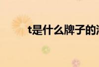 t是什么牌子的汽车（车怎么样？）
