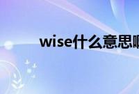 wise什么意思啊（wiseie是什么）