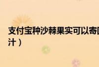 支付宝种沙棘果实可以寄回来吗（如何在支付宝上购买沙棘汁）