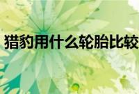 猎豹用什么轮胎比较好（猎豹用什么轮胎？）