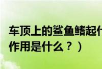 车顶上的鲨鱼鳍起什么作用（车顶上的鲨鱼鳍作用是什么？）