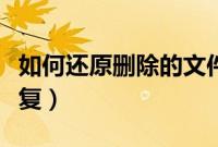如何还原删除的文件（电脑删除的文件如何恢复）