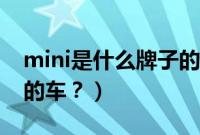 mini是什么牌子的车价格（mini是什么品牌的车？）