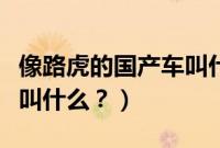 像路虎的国产车叫什么名字（像路虎的国产车叫什么？）