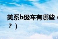 美系b级车有哪些（自然吸气的b级车有哪些？）