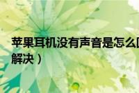 苹果耳机没有声音是怎么回事（苹果耳机麦克风没声音如何解决）