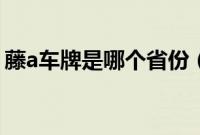 藤a车牌是哪个省份（藤a是哪里的车牌号？）