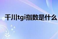 千川tgi指数是什么（TGI是什么发动机？）