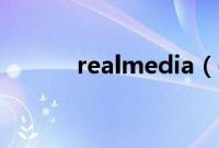 realmedia（editor使用教程）