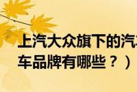 上汽大众旗下的汽车品牌（大众旗下11个汽车品牌有哪些？）