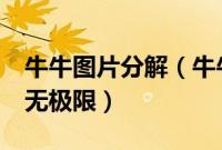 牛牛图片分解（牛牛桌面:用照片做管理,创意无极限）