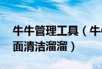 牛牛管理工具（牛牛桌面管理大师:让你的桌面清洁溜溜）