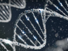 研究揭示了感觉不到疼痛的女性的独特分子机制