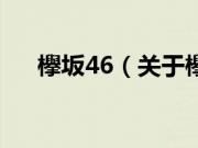 欅坂46（关于欅坂46的基本详情介绍）