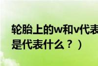 轮胎上的w和v代表什么（轮胎上的t和h分别是代表什么？）