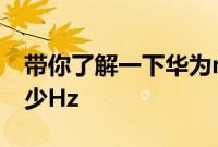 带你了解一下华为mate30pro的刷新率是多少Hz