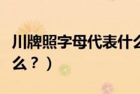 川牌照字母代表什么（川车牌照字母顺序是什么？）