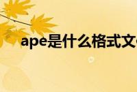 ape是什么格式文件(APE是什么格式)