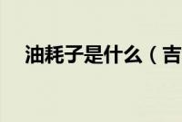 油耗子是什么（吉利汽车油耗是多少？）