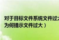 对于目标文件系统文件过大放不到u盘里怎么办（u盘空间够为何提示文件过大）