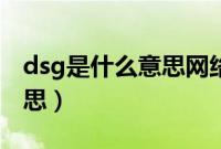 dsg是什么意思网络用语（速腾dsg是什么意思）