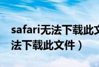 safari无法下载此文件是什么意思（safari无法下载此文件）