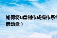如何将u盘制作成操作系统启动盘（怎么将U盘制作成DOS启动盘）