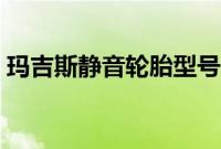 玛吉斯静音轮胎型号（邓禄普静音轮胎型号）