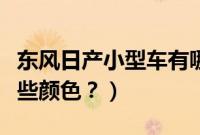 东风日产小型车有哪些车（起亚的小型车有哪些颜色？）