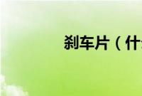 刹车片（什么是刹车ap？）
