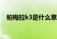 帕梅拉k3是什么意思（k3是什么意思？）