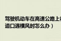 驾驶机动车在高速公路上行驶遇到横风（驾驶机动车到达隧道口遇横风时怎么办）
