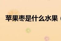 苹果枣是什么水果（smart能上高速吗？）