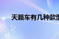 天籁车有几种款型（天籁有哪些款？）