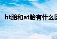 ht胎和at胎有什么区别（at胎是什么胎？）