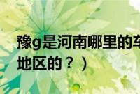 豫g是河南哪里的车牌（豫q车牌是河南哪个地区的？）