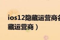 ios12隐藏运营商名称教程（iphone怎么隐藏运营商）