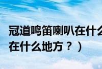 冠道鸣笛喇叭在什么地方打开（冠道鸣笛喇叭在什么地方？）