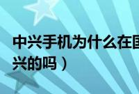中兴手机为什么在国内这么冷门（努比亚是中兴的吗）