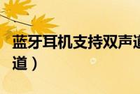 蓝牙耳机支持双声道吗（蓝牙耳机怎么调双声道）