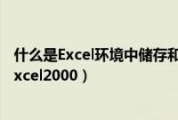 什么是Excel环境中储存和处理数据的最基本文件（什么是Excel2000）