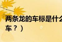 两条龙的车标是什么车（两条龙的车标是什么车？）