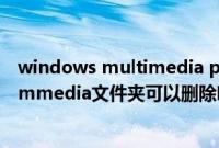windows multimedia platform文件夹可以删除吗（stormmedia文件夹可以删除吗）