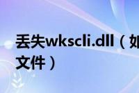丢失wkscli.dll（如何找回丢失的wldlog.dll文件）