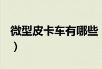 微型皮卡车有哪些(皮卡车货厢长的有哪些?)