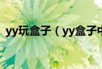 yy玩盒子（yy盒子中的YY多开器使用教程）