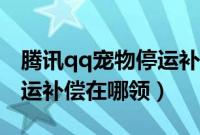 腾讯qq宠物停运补偿在哪领（腾讯qq宠物停运补偿在哪领）