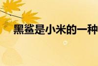 黑鲨是小米的一种吗（黑鲨是小米的吗）