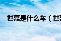 世嘉是什么车（世嘉s标志是什么意思？）
